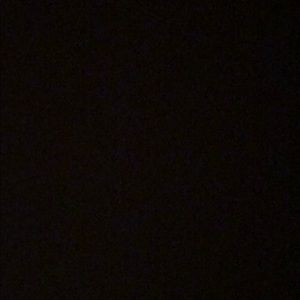 Meet your Posher, Owen